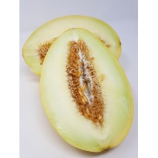 Melone Honig (STK)